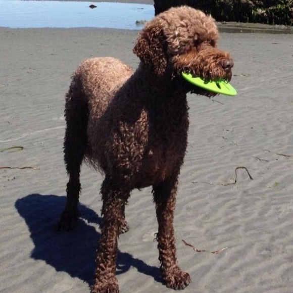 Meet your Posher, Janet - Picture 1 of 1